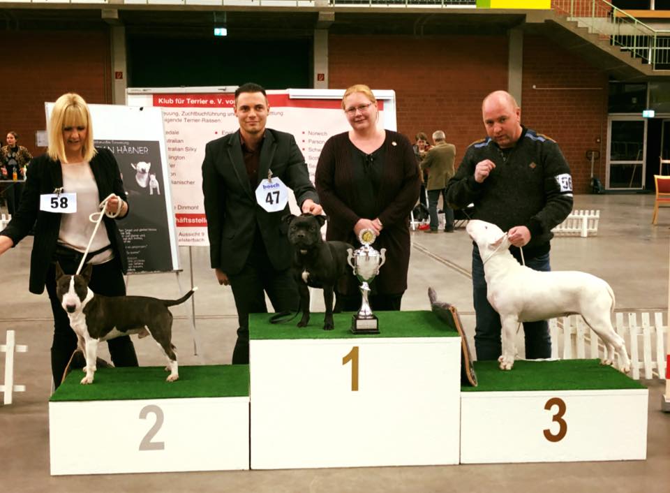 Best in Show Paaren Glien SBT