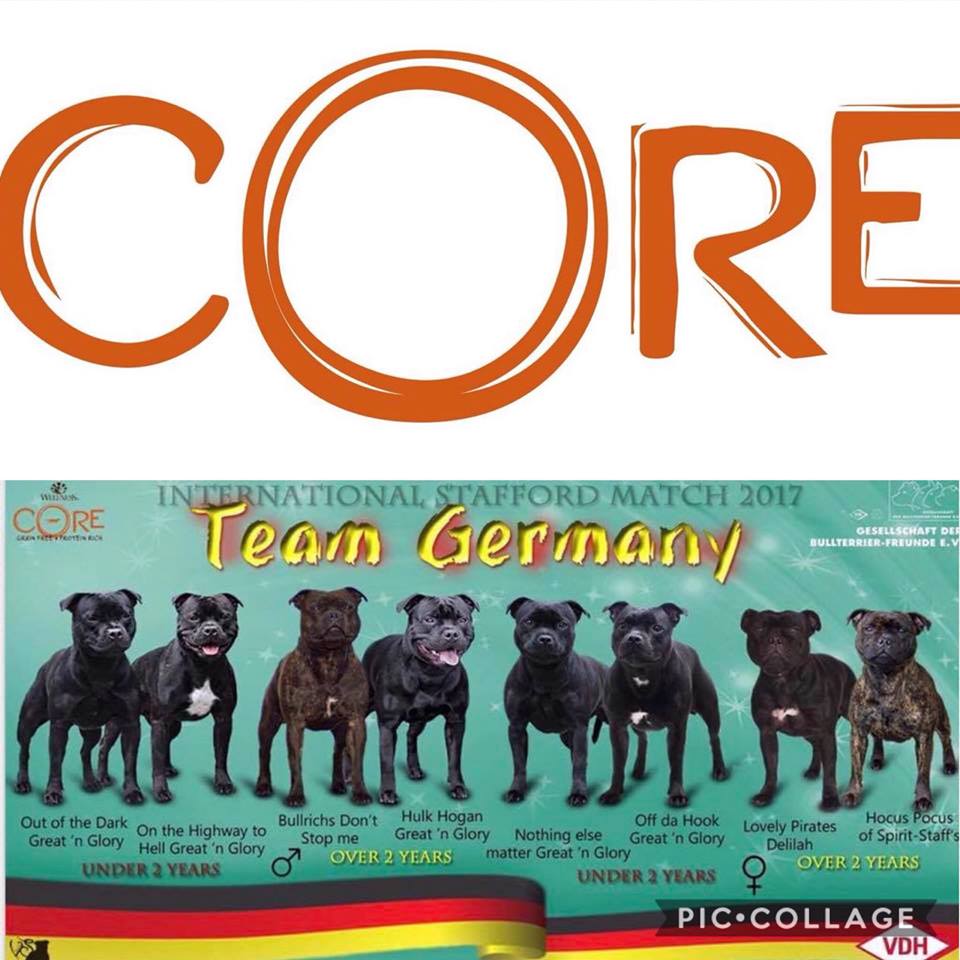 Team Germany ISM 2017