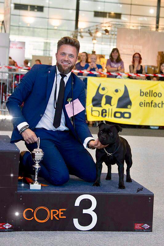 3.Platz Terrier Gruppe CAC Bremen 2018