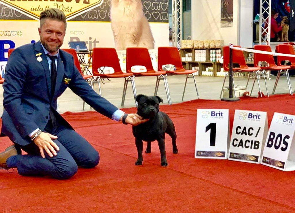 News Internationale Dog Show Belgium